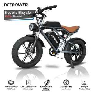 S7 20 ''Off-Road Elektrische Fiets-Banden 4.0, 2000W,50 Km/h, Hydraulische Remmen, Batterij 20ah/35ah Of Dubbele 20 + 35ah