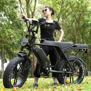 EU Hot-Selling C80 20-Inch Electric Bicycle 48V15Ah Lithium Battery Dual Disc Brakes 7 Speeds Front Shock Absorber Anti-Theft Alarm Fat Tire Off-Road Commuting Snow Outdoor Black And Brown 150Kg Load 40-60Km Range