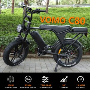 EU Hot-Selling C80 20-Inch Electric Bicycle 48V15Ah Lithium Battery Dual Disc Brakes 7 Speeds Front Shock Absorber Anti-Theft Alarm Fat Tire Off-Road Commuting Snow Outdoor Black And Brown 150Kg Load 40-60Km Range