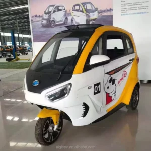 2024 Nieuwkomers Elektrische Scooter Best Volledig Gesloten Elektrische Driewieler Lage Snelheid 45Km/U Elektrische Auto Voor Oude Mensen