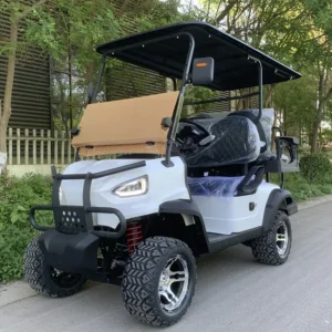 Golfkar Scooter 120 KM Lange uithoudingsvermogen / 45 km / u Golfkar Jachtvoertuig met kleur op maat