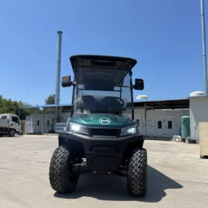4 6 Personen Hoge Snelheid 45Km/U Lithium Batterij Buggy Club Auto Elektrische Opgeheven Off-Road Golfkar