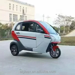 2024 Nieuwkomers Elektrische Scooter Best Volledig Gesloten Elektrische Driewieler Lage Snelheid 45Km/U Elektrische Auto Voor Oude Mensen